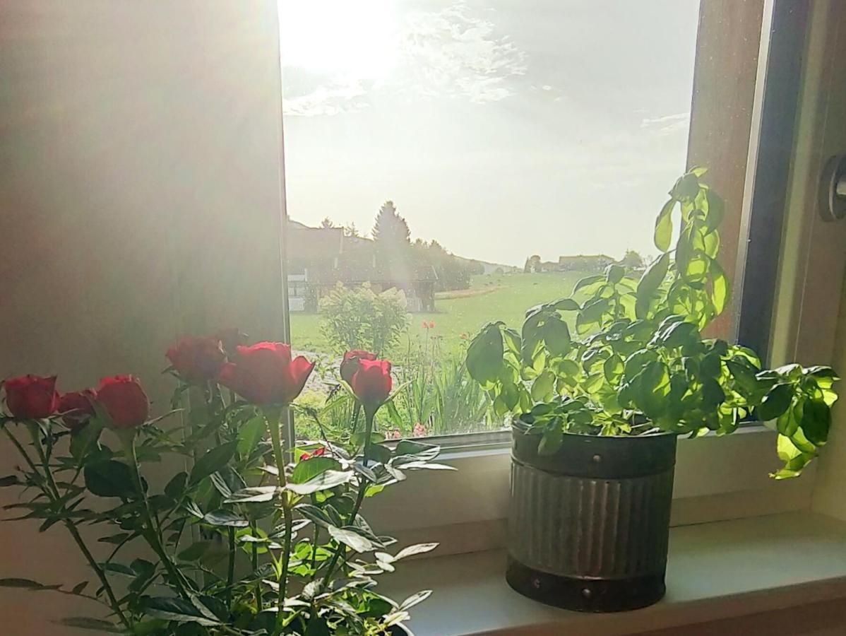 Ferienwohnung Werner Inzell Εξωτερικό φωτογραφία
